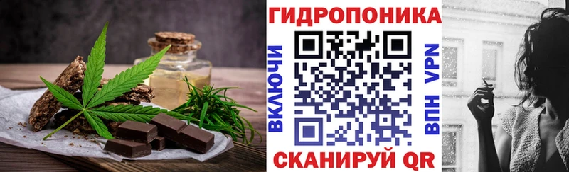 Cannafood конопля  MEGA ONION  Черноголовка 