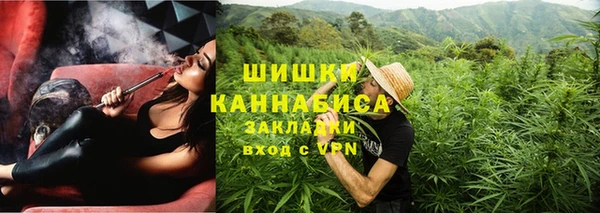 apvp Белокуриха