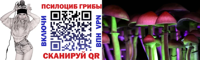 Галлюциногенные грибы Cubensis  Черноголовка 